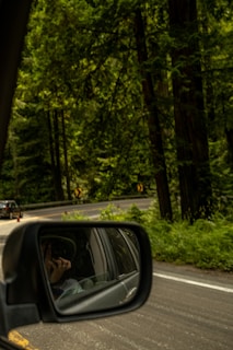 A view from inside a car shows a side mirror reflecting the driver holding a steering wheel. The background features a winding road surrounded by dense, lush green trees. Yellow road signs are visible, indicating a curve ahead.