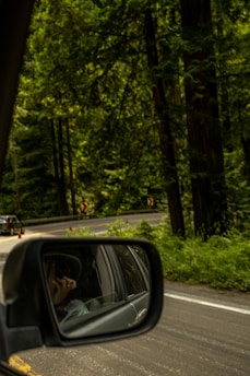 A view from inside a car shows a side mirror reflecting the driver holding a steering wheel. The background features a winding road surrounded by dense, lush green trees. Yellow road signs are visible, indicating a curve ahead.