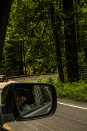 A view from inside a car shows a side mirror reflecting the driver holding a steering wheel. The background features a winding road surrounded by dense, lush green trees. Yellow road signs are visible, indicating a curve ahead.