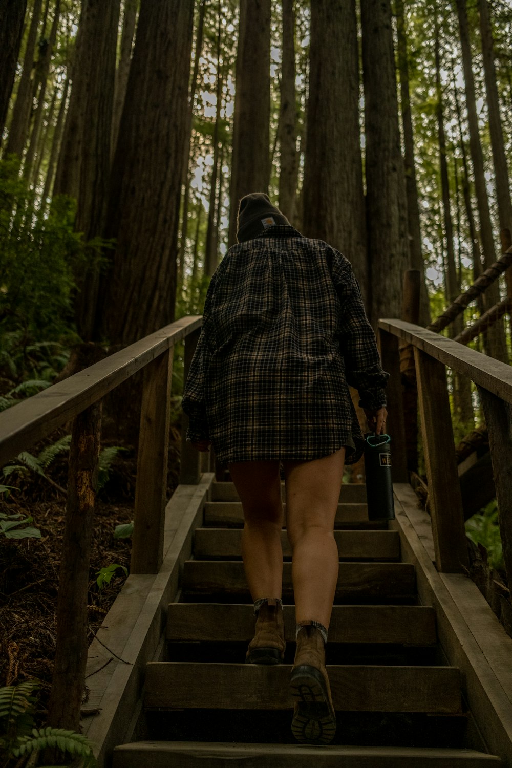 a person walking up a flight of stairs in the woods