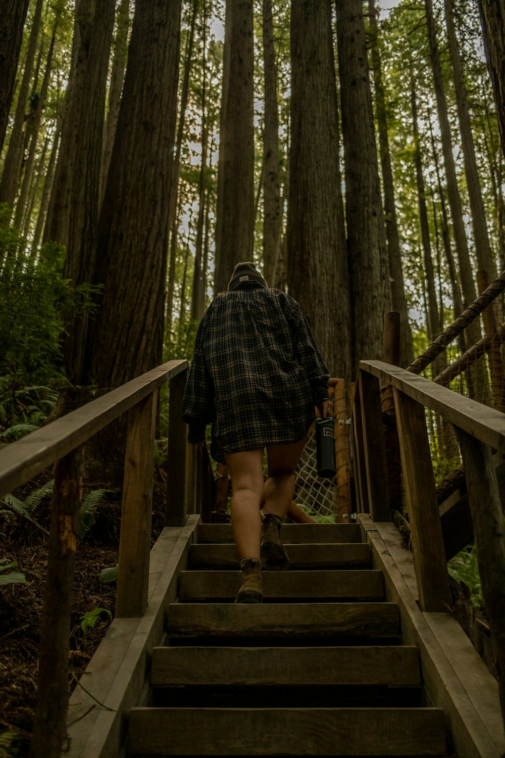 a person walking up a flight of stairs in the woods