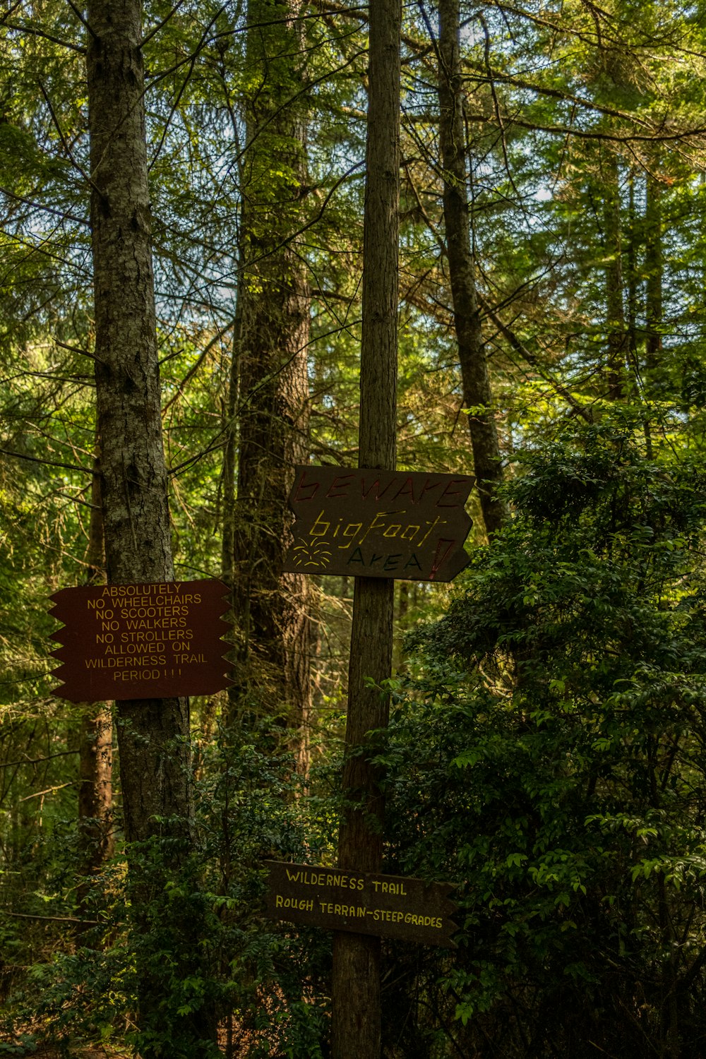 Ein Wegweiser im Wald