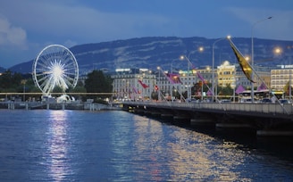 a pier with a ferris wheel and buildings by it