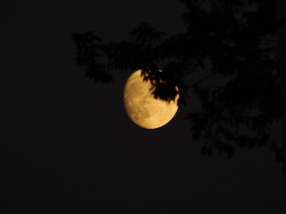 Una luna piena nel cielo notturno