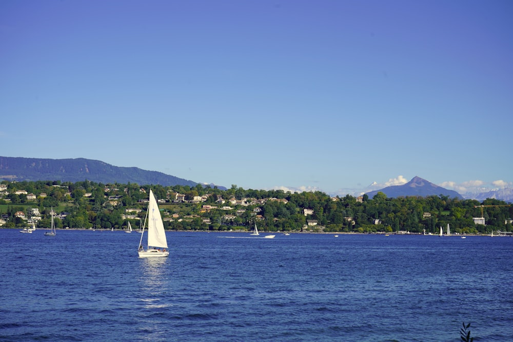 a sailboat on the water