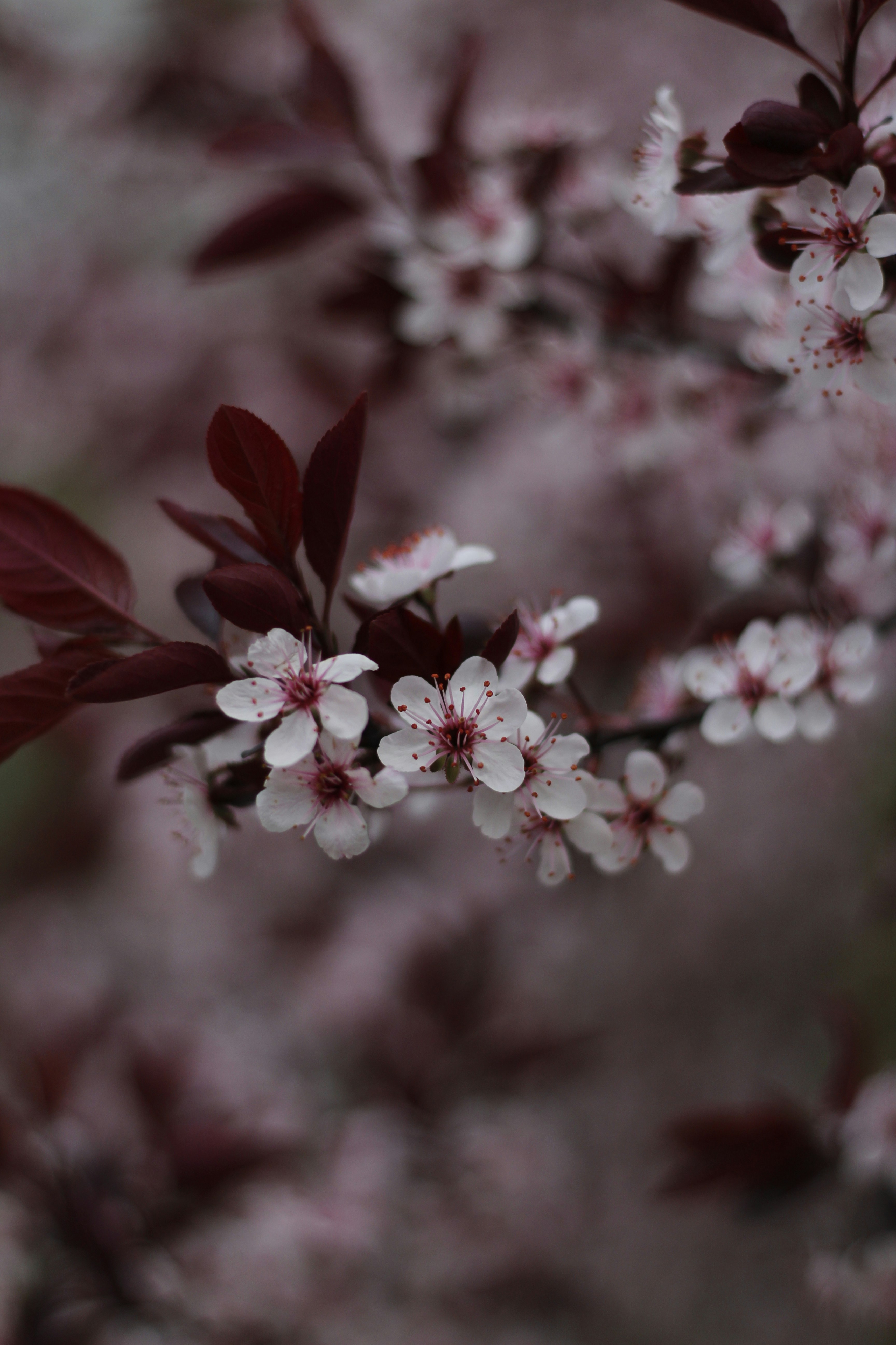 Photo by umarspec