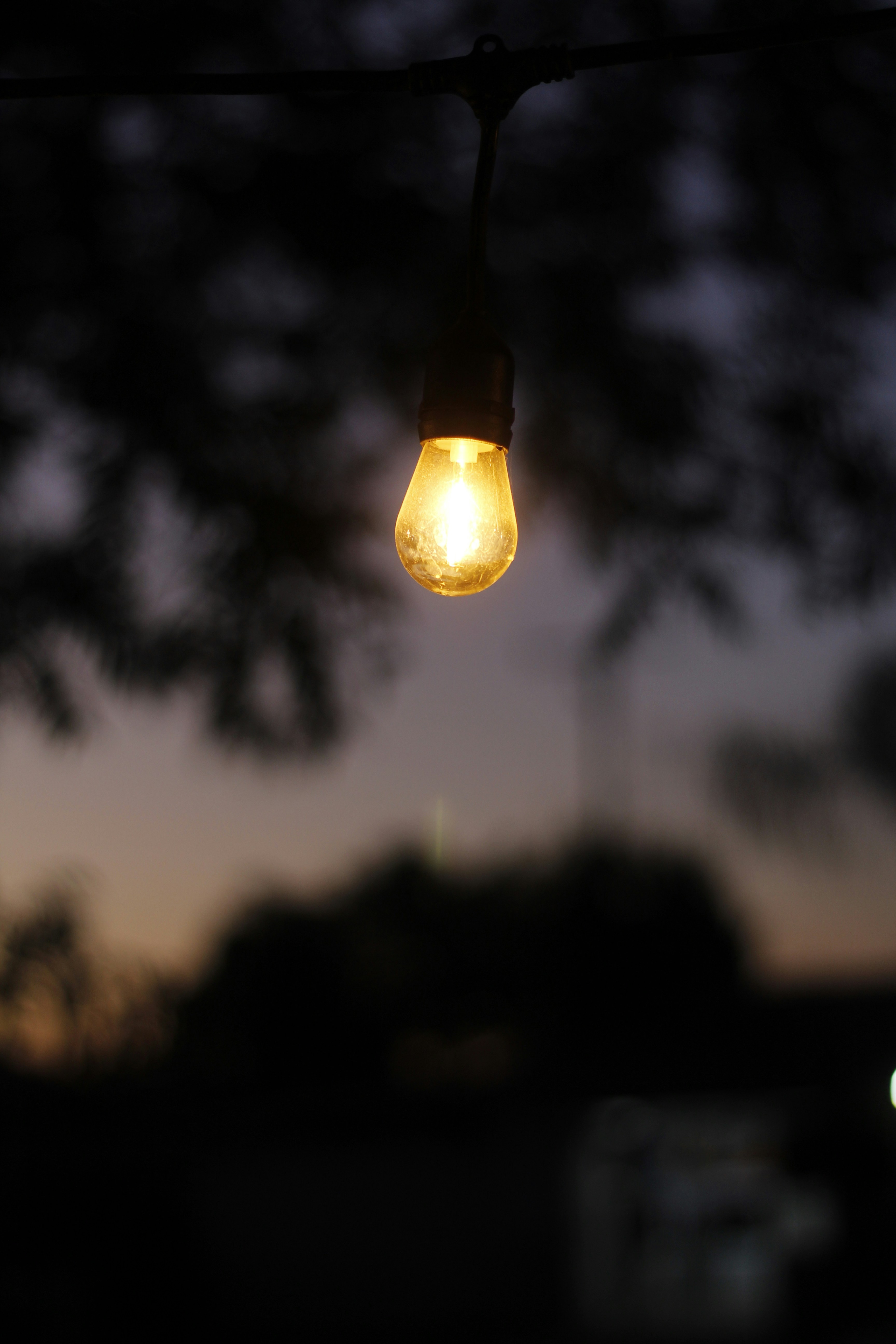 Photo by umarspec