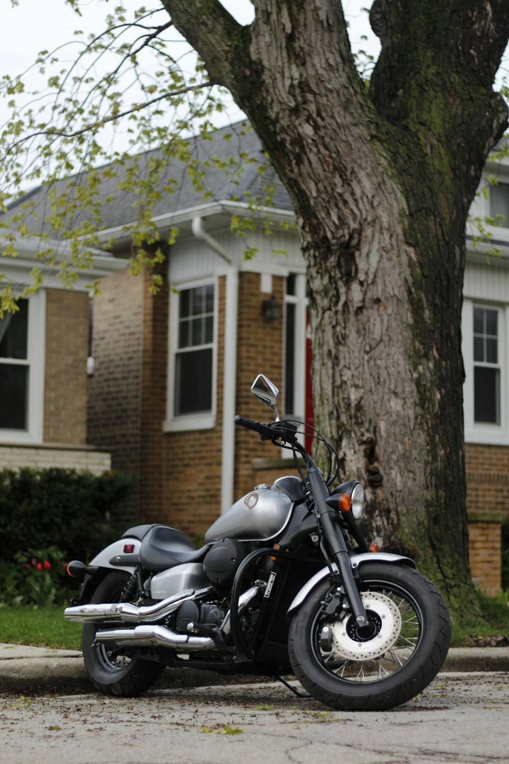 a motorcycle parked in front of a tree