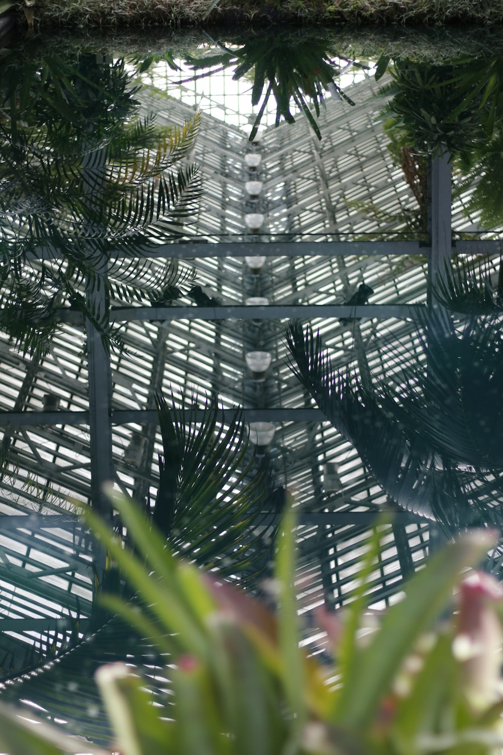 a spider web in a tree