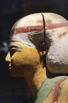 a close-up of a skull