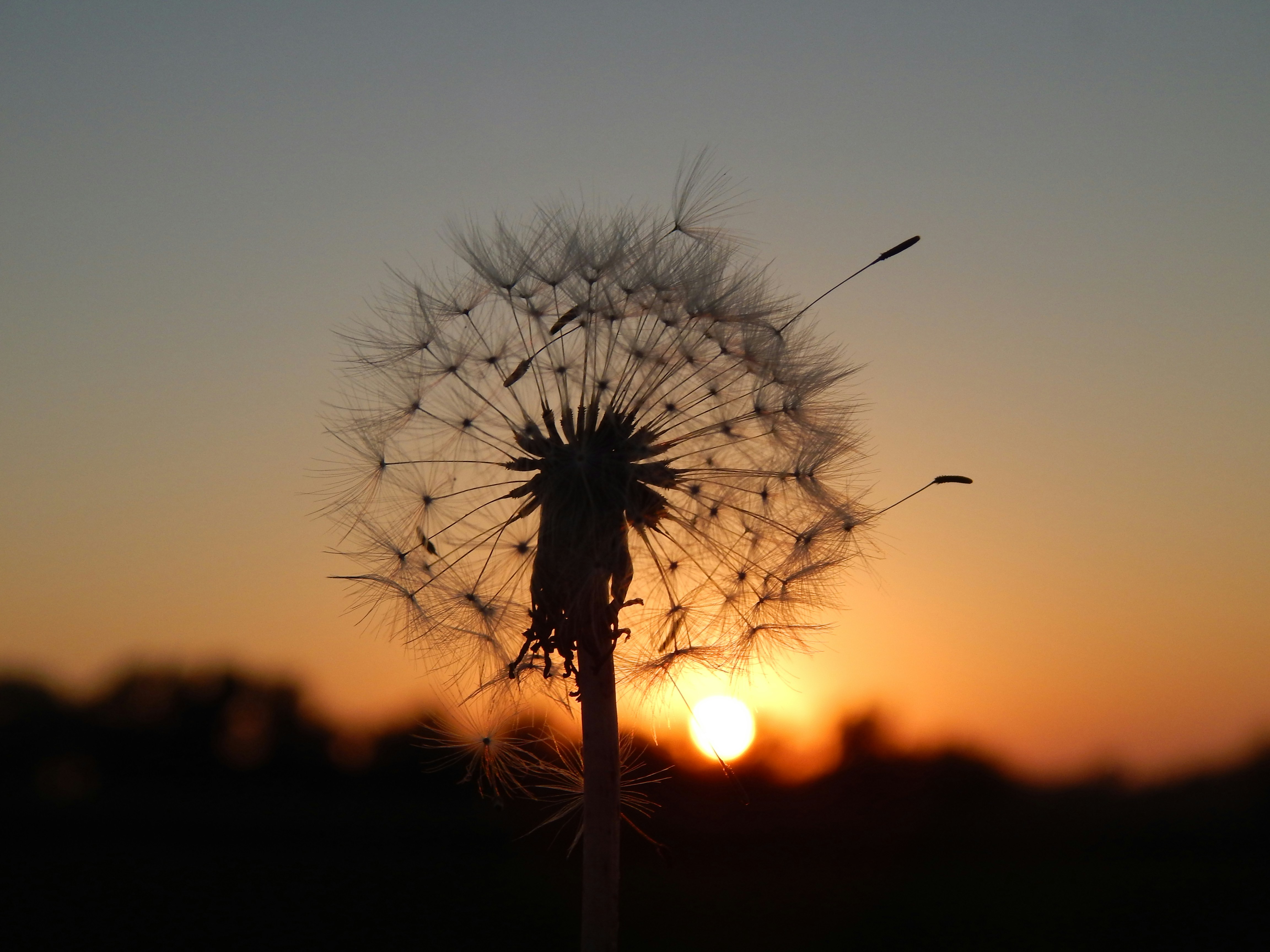 Photo by scarlettweiss