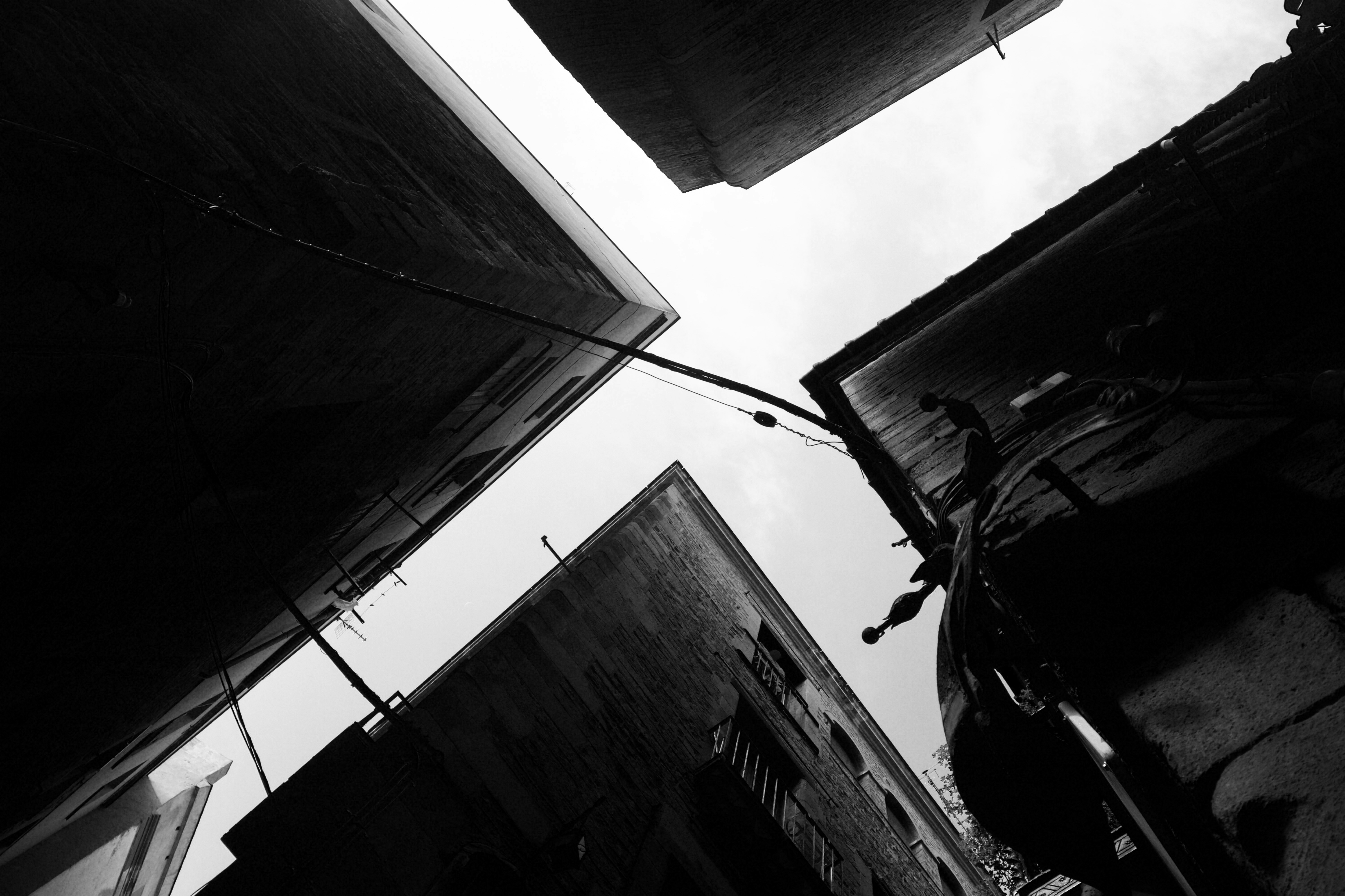 Photo by andreusphoto