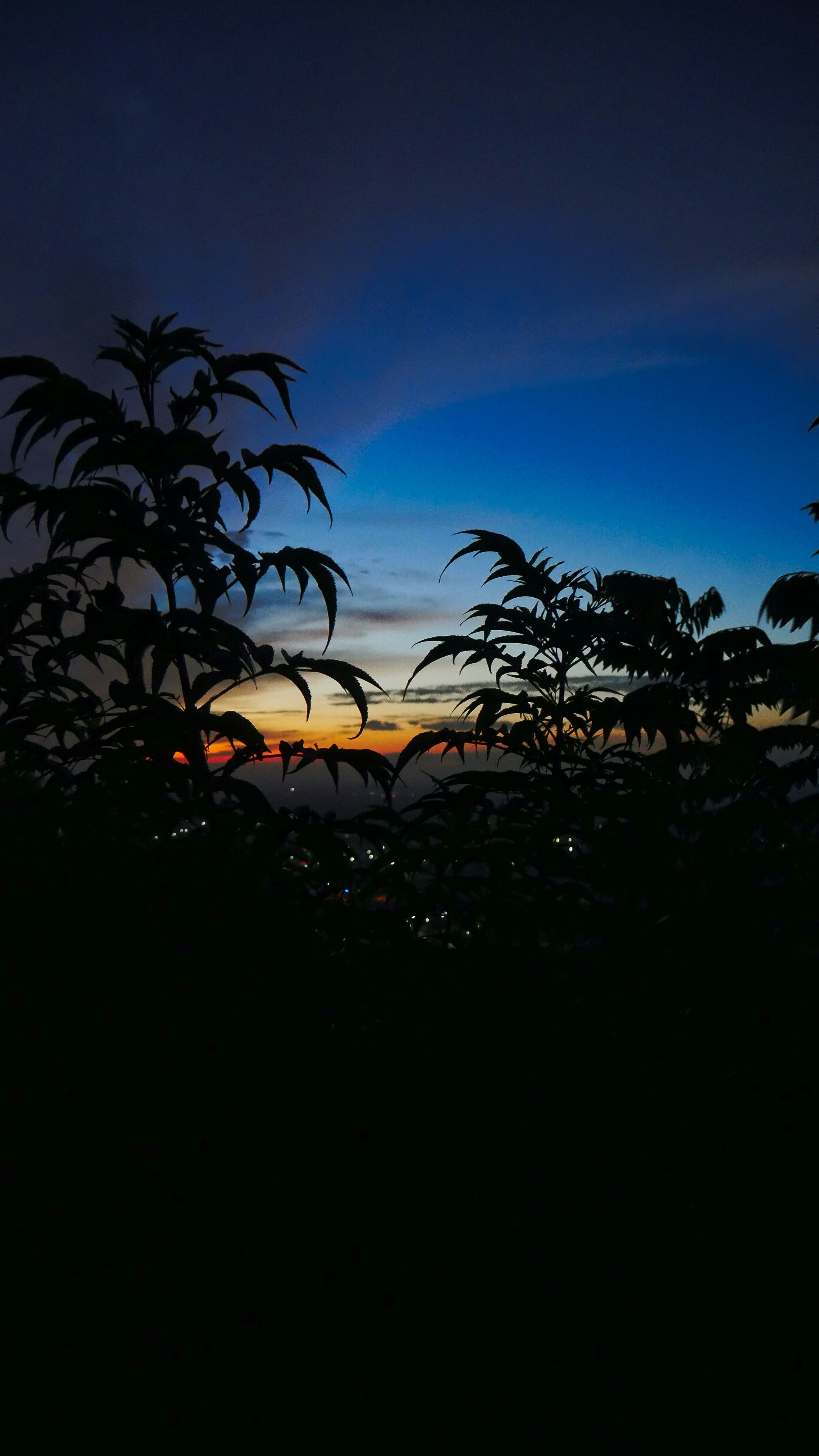 Photo by cryogenicplanet