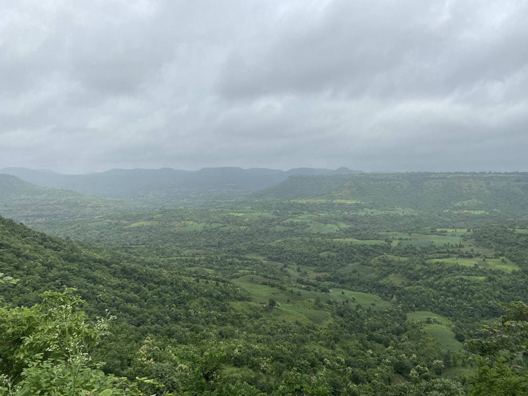 a landscape with trees and hills, The Misty Valley.