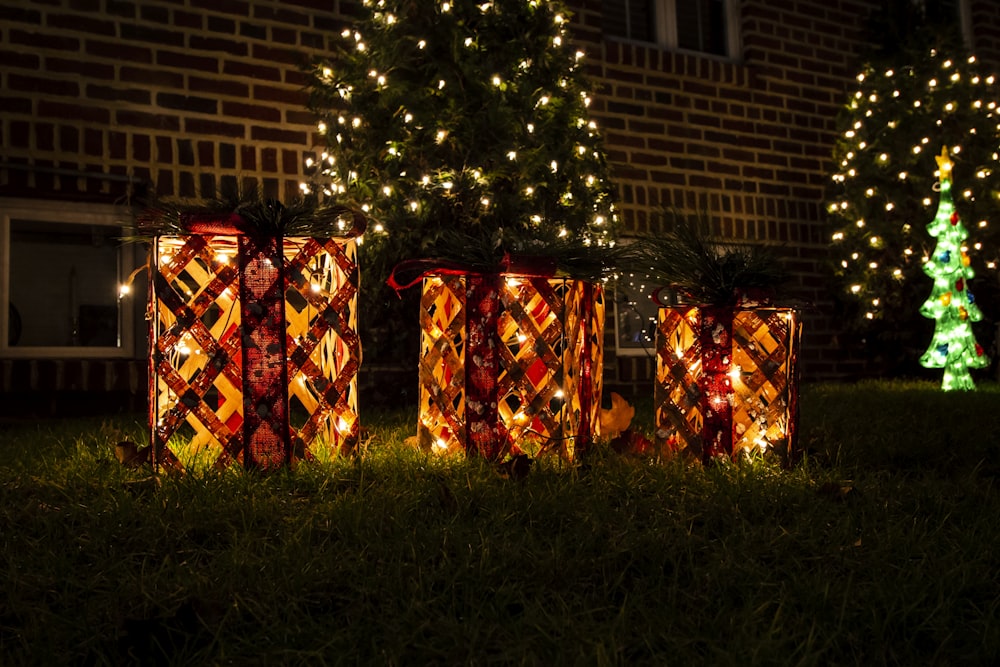 a group of trees with lights