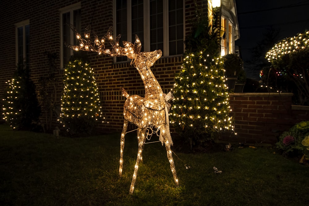 a deer with lights on it