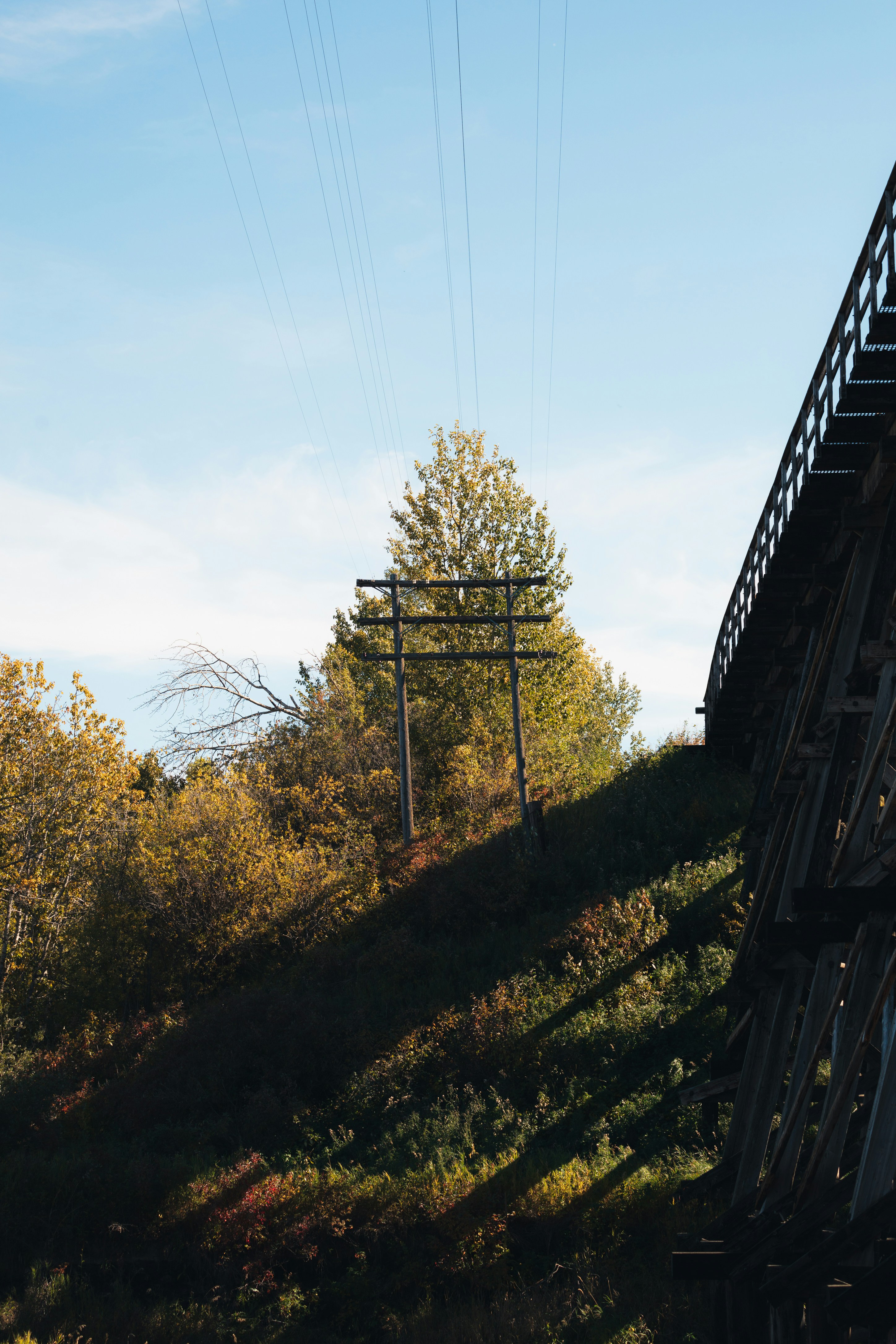 Photo by tristansosteric