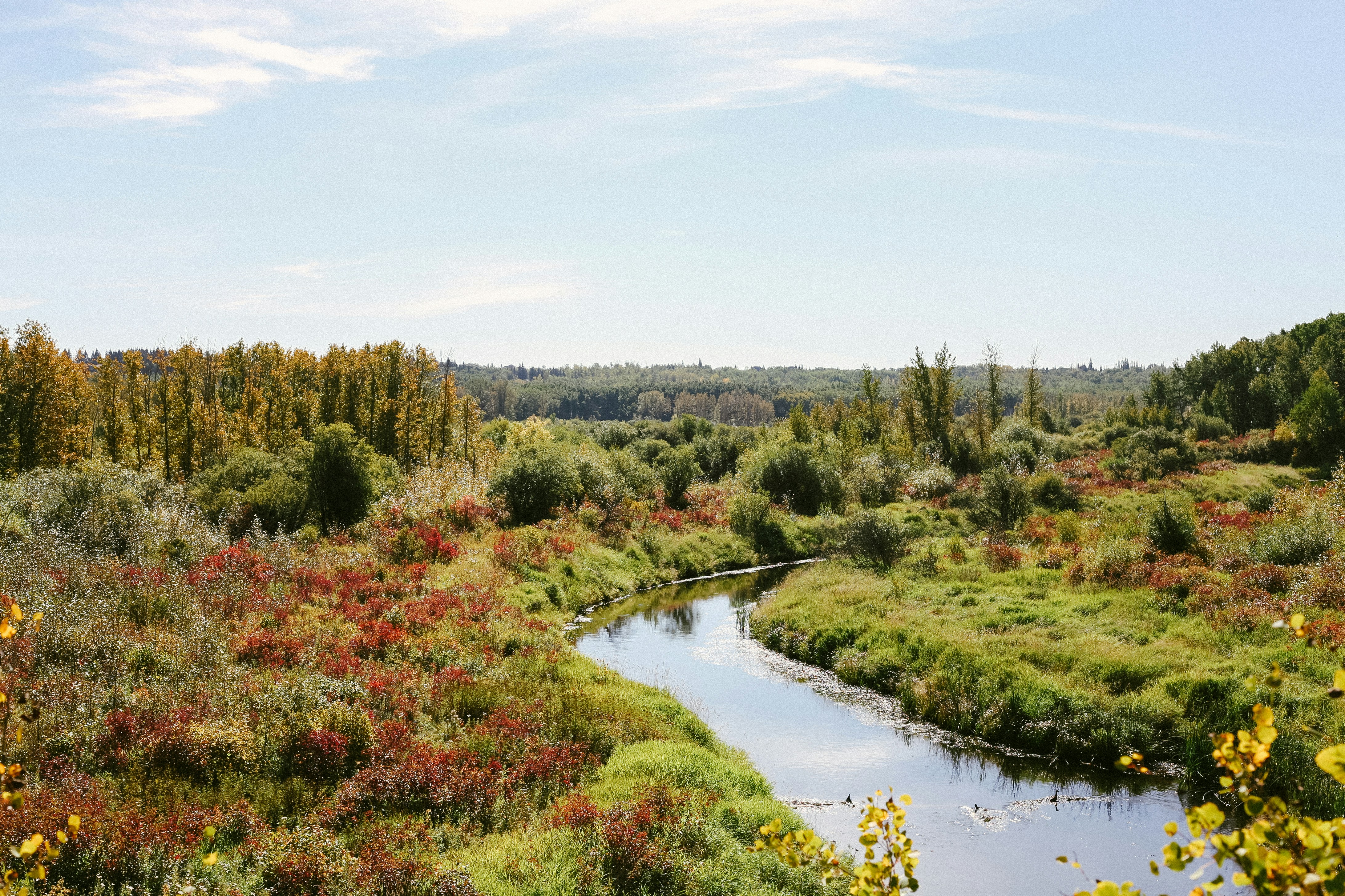 Photo by tristansosteric