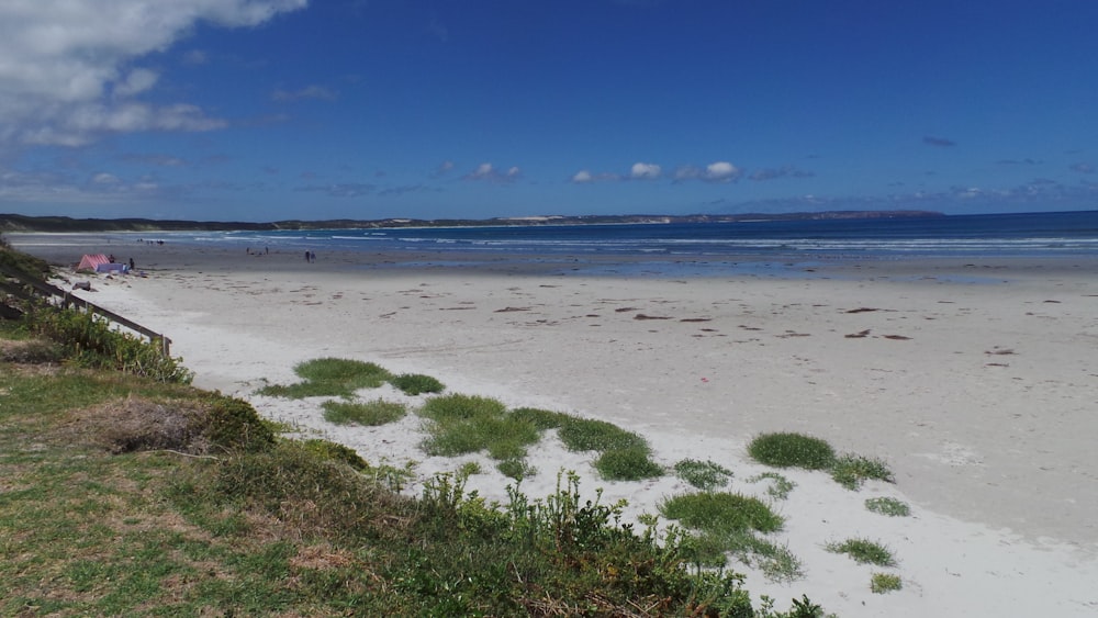 a beach with sand and water