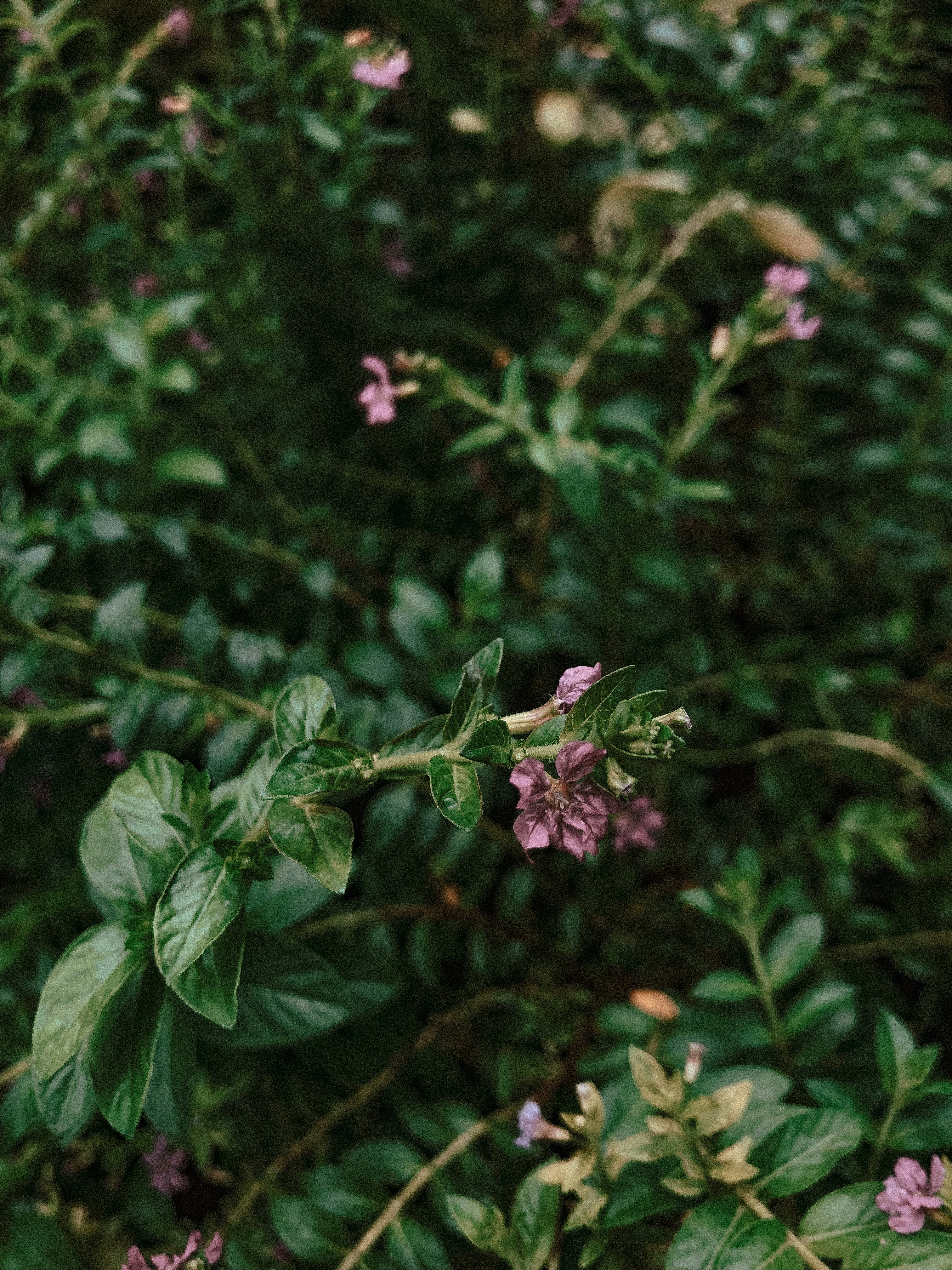 Photo by aryasphotodiary