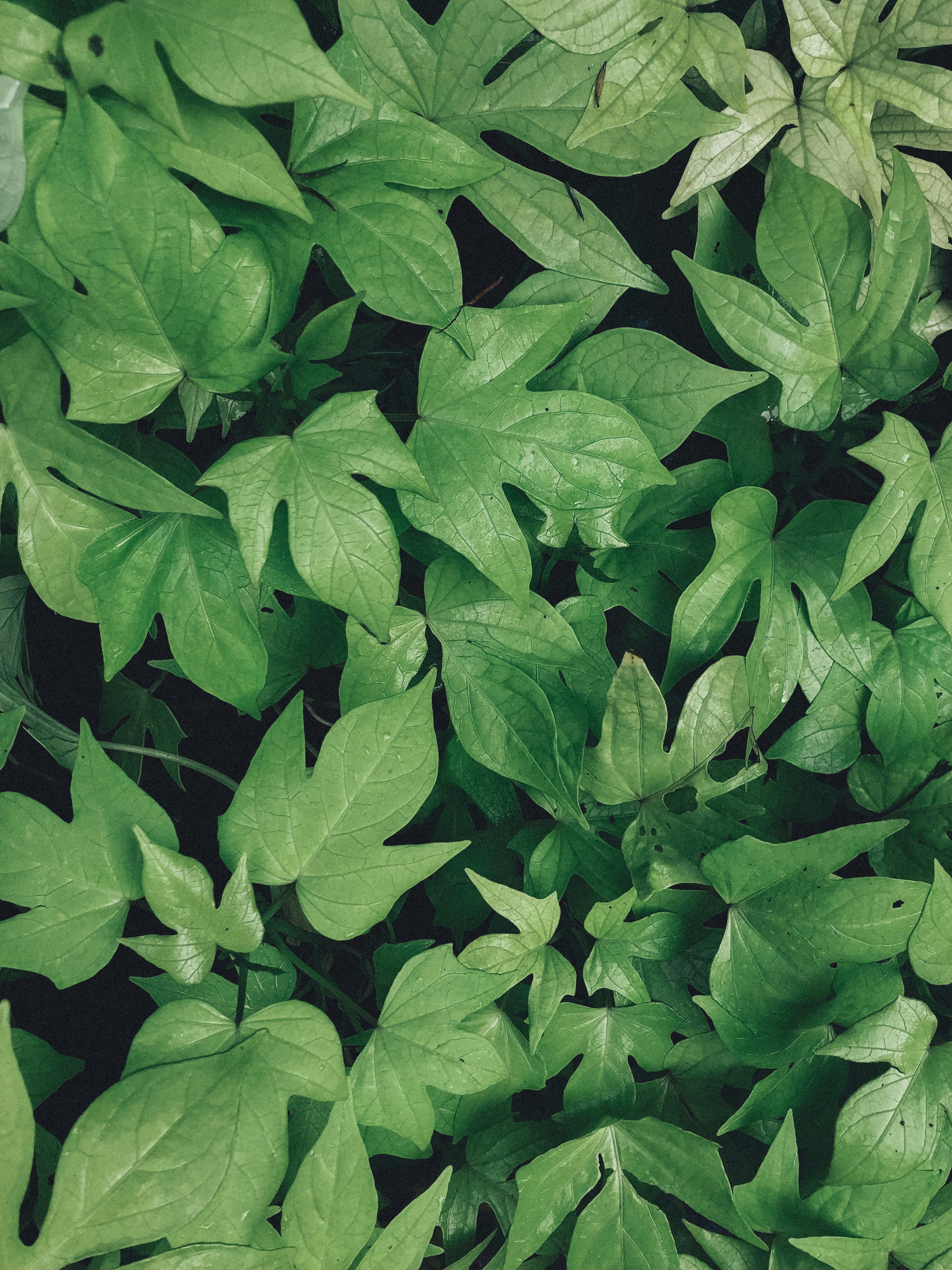 Photo by aryasphotodiary