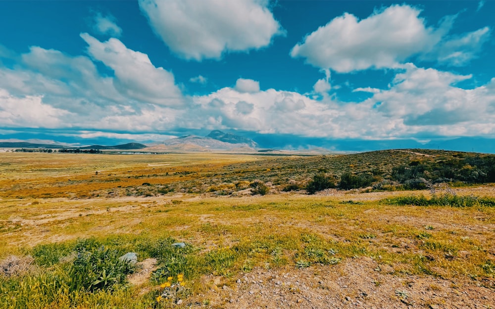 a landscape with hills and trees