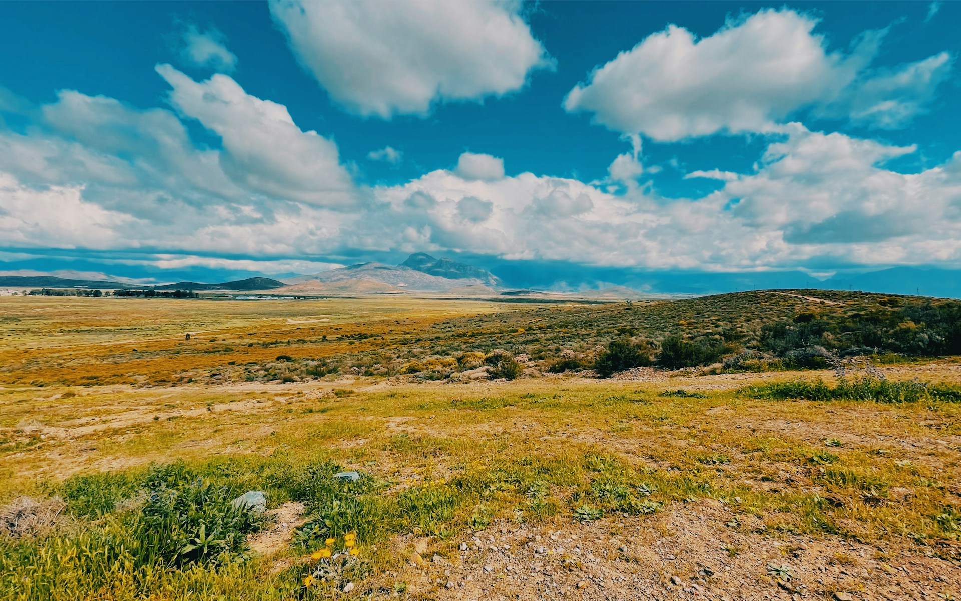 a landscape with hills and trees