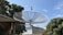 A large satellite dish mounted on a metal bracket is prominently displayed against a clear blue sky. Surrounding it are trees with dense green foliage and a few rooftops of buildings in the background. Additional smaller satellite dishes can be seen on some of the rooftops.