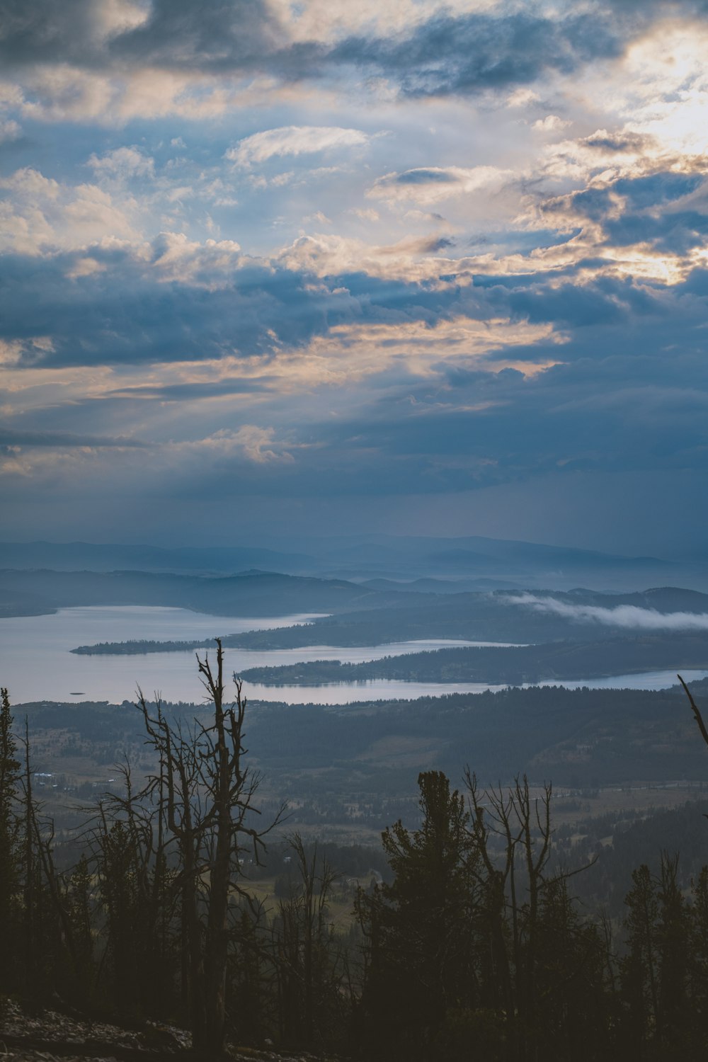 a view of a valley with trees and clouds in the sky