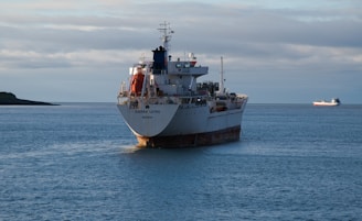 a large ship in the water