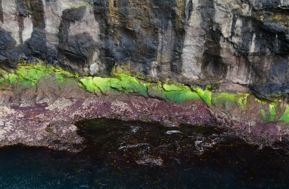 a rocky cliff with moss growing on it