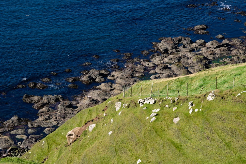 a rocky beach with a fence