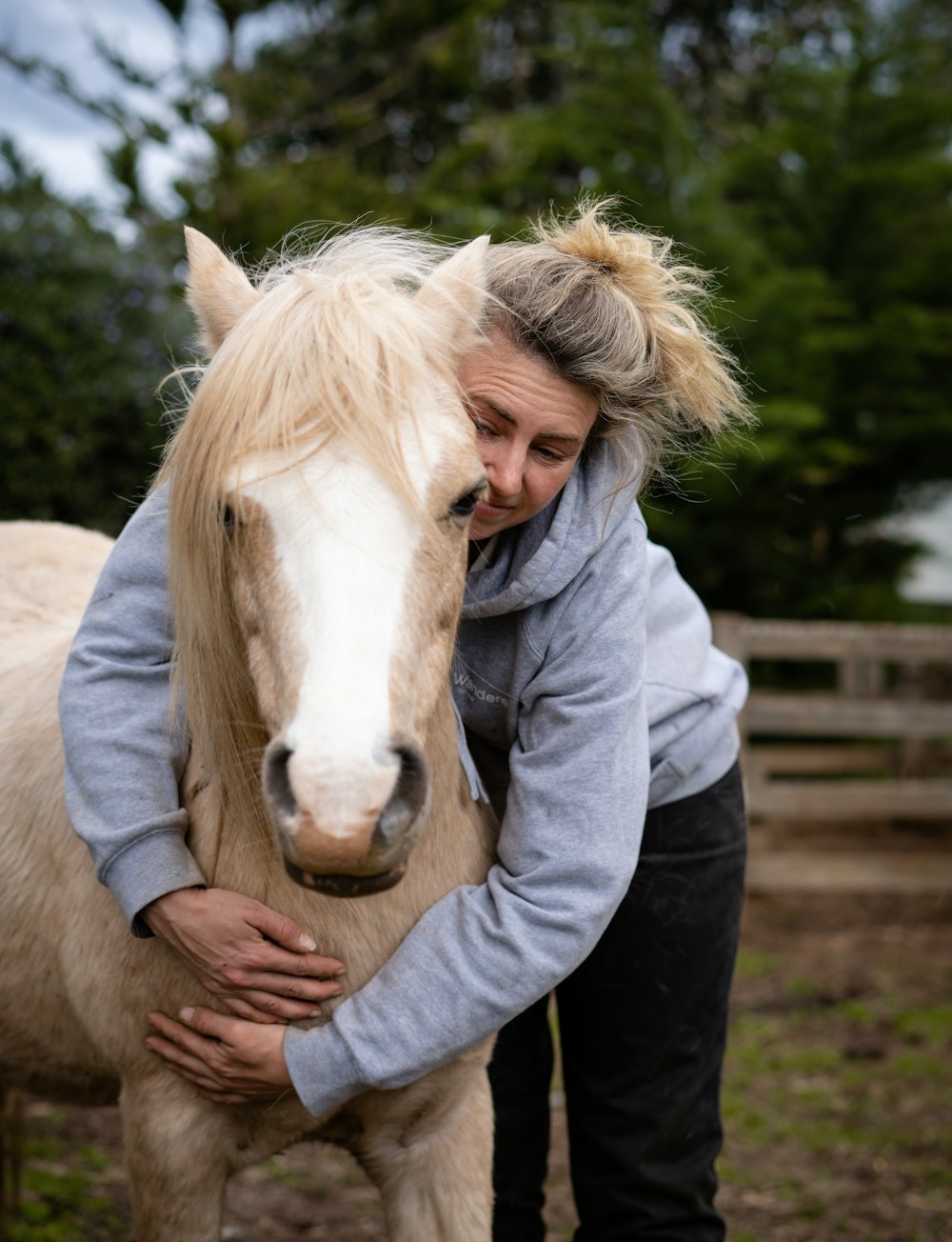 a person hugging a horse