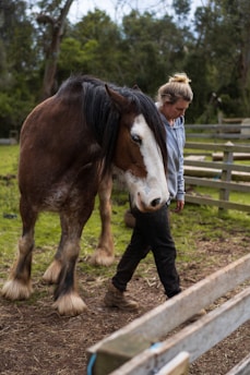 A person with light hair in a bun is walking beside a large brown and white horse in a fenced grassy area. The person is wearing a gray hoodie and black pants with boots, while the horse has a long mane and fluffy hooves. Trees are visible in the background, suggesting a rural or farm setting.