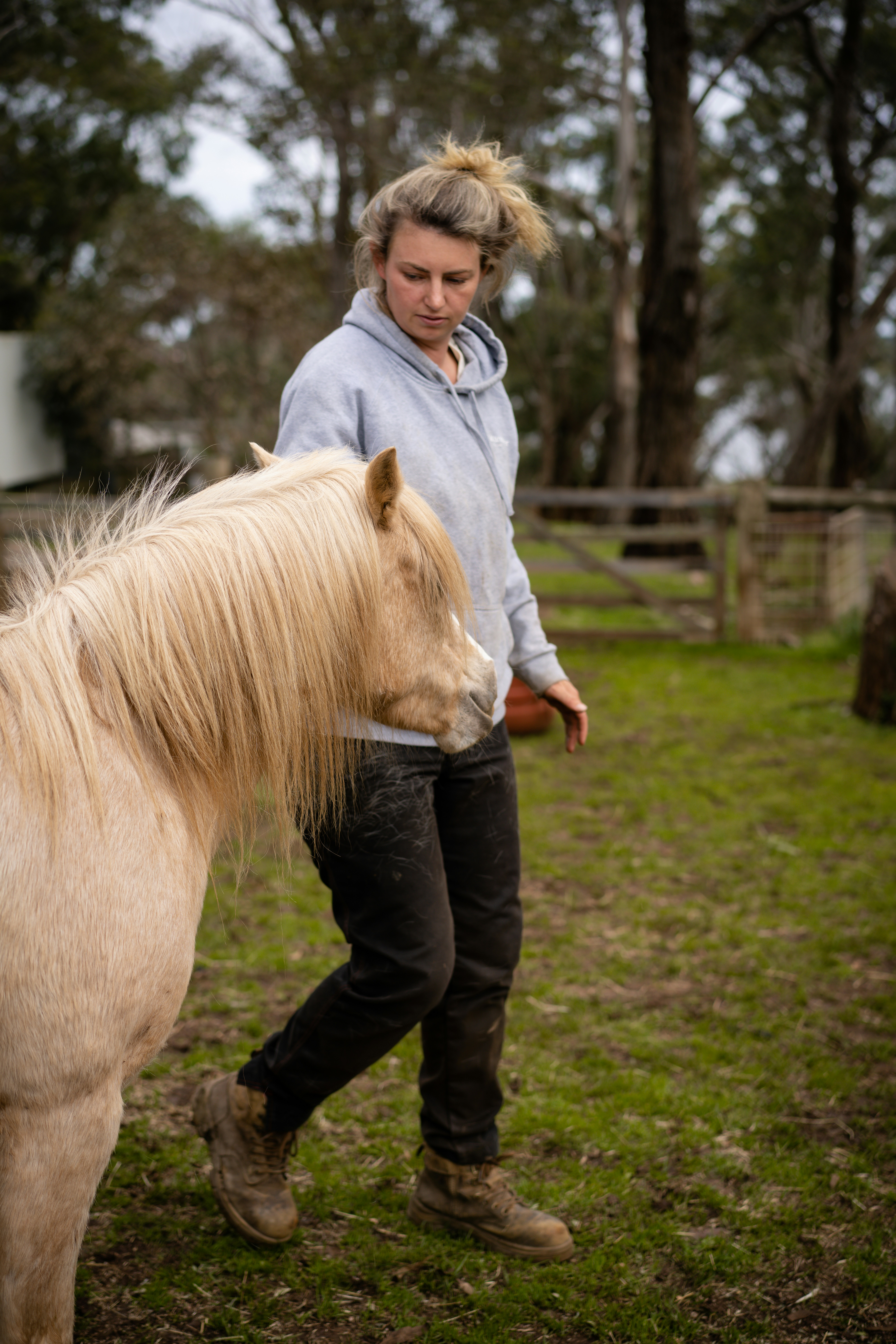 a person petting a horse