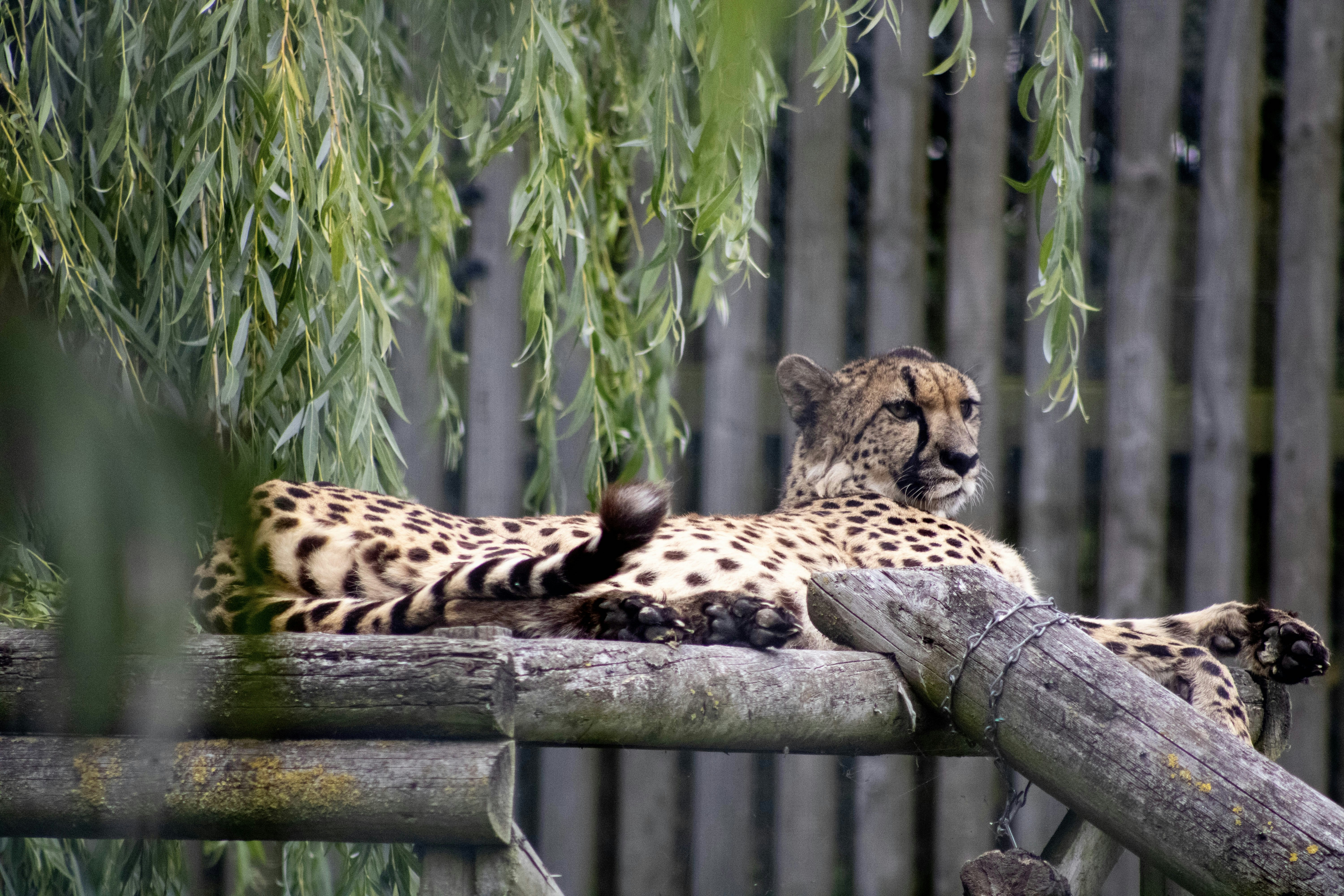 Photo by jbcphotography