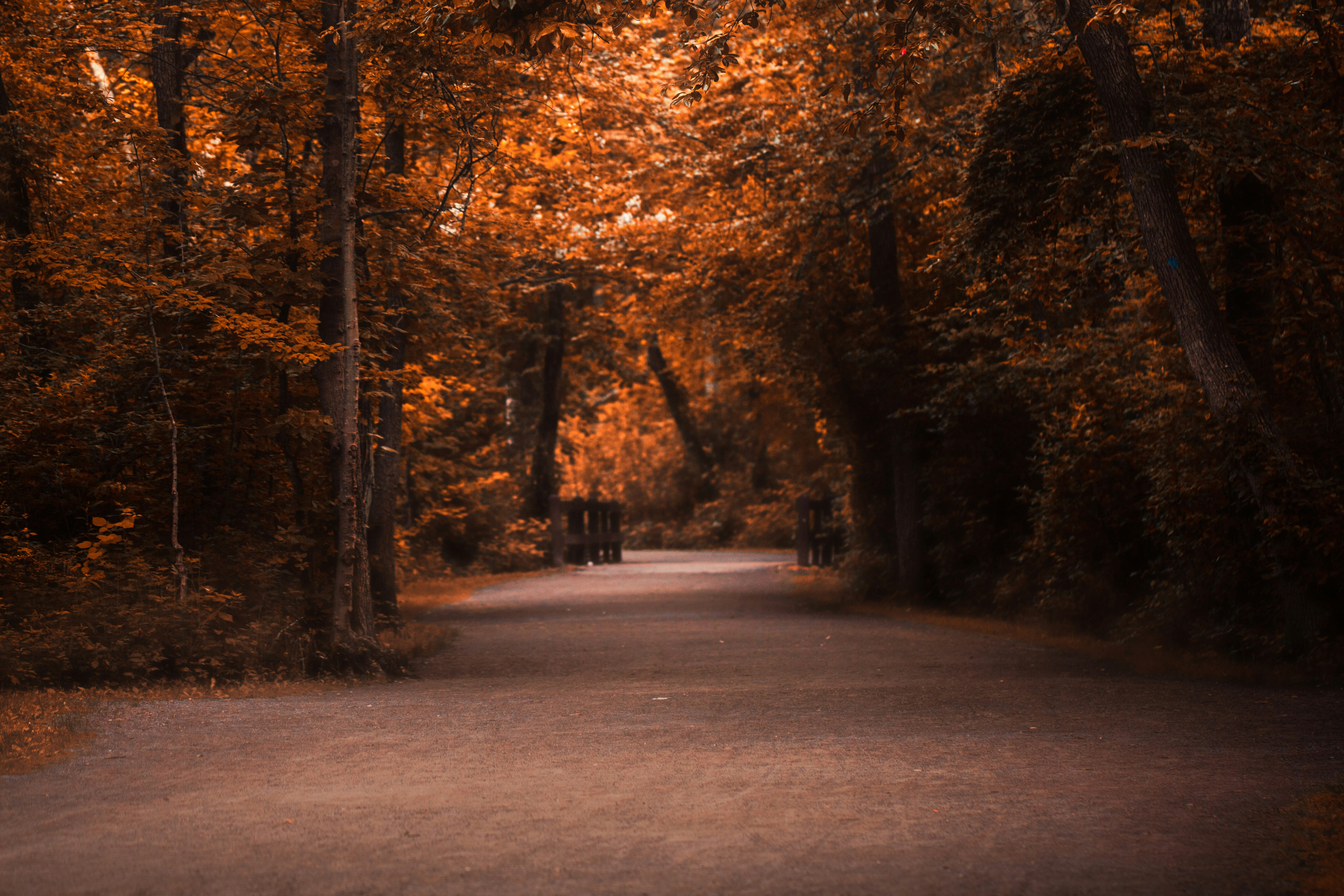 Photo by emmanuelphaeton