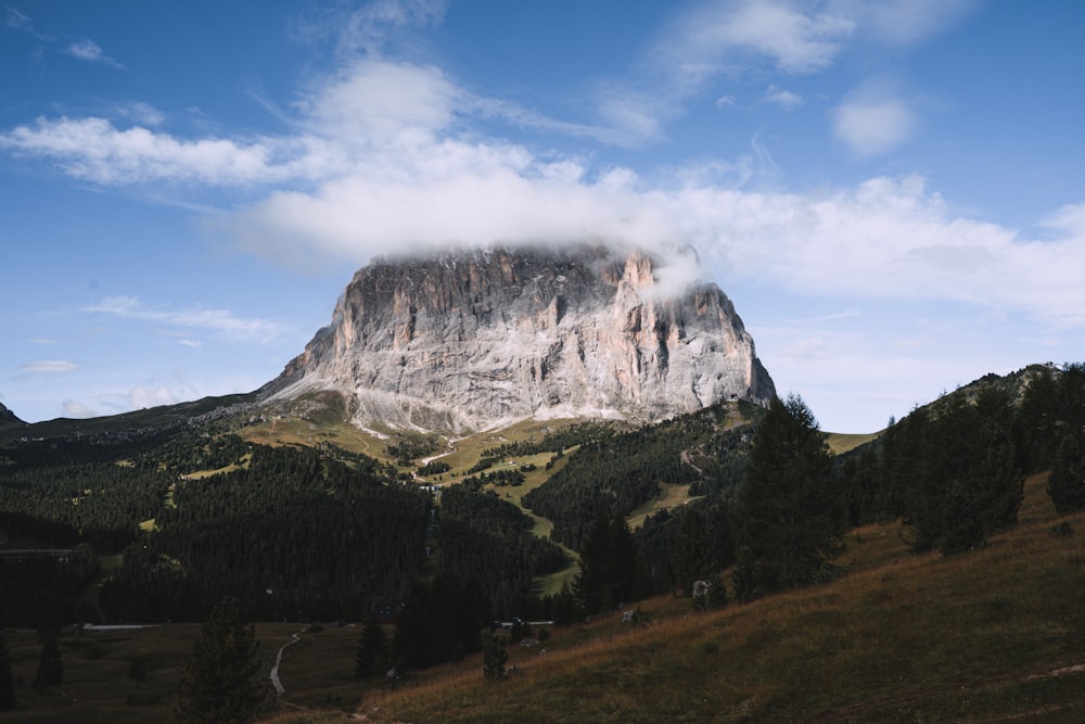 a mountain with trees and a valley below