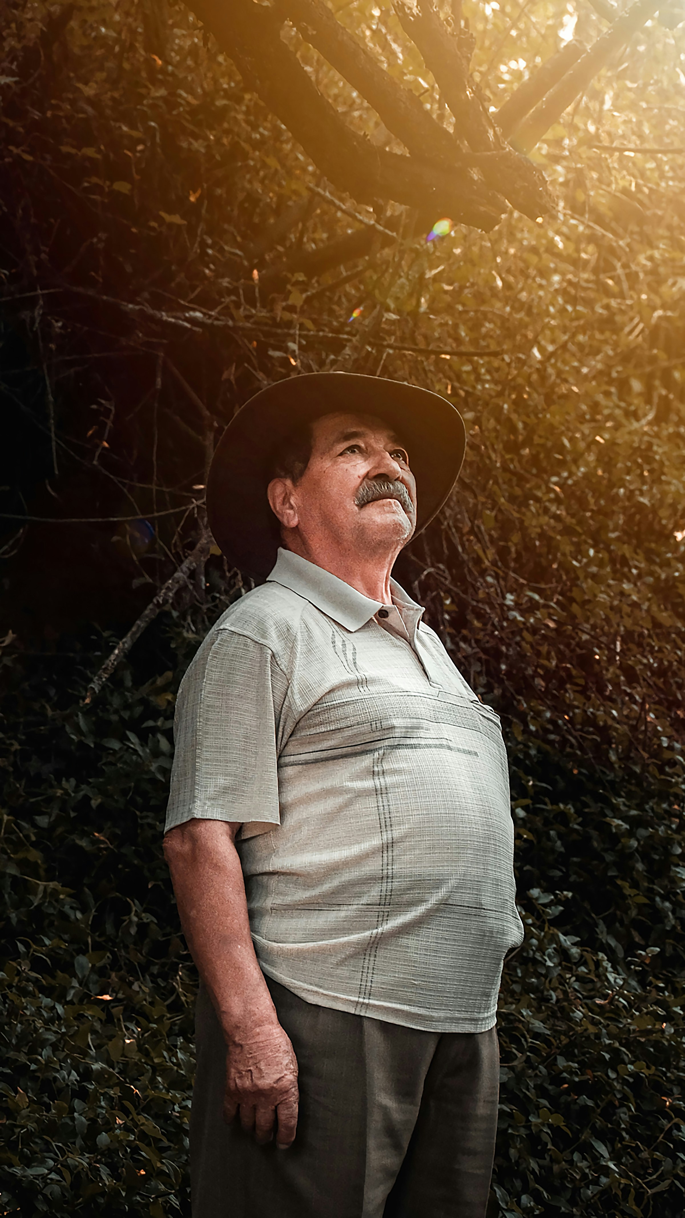 Photo by alexandersechenov