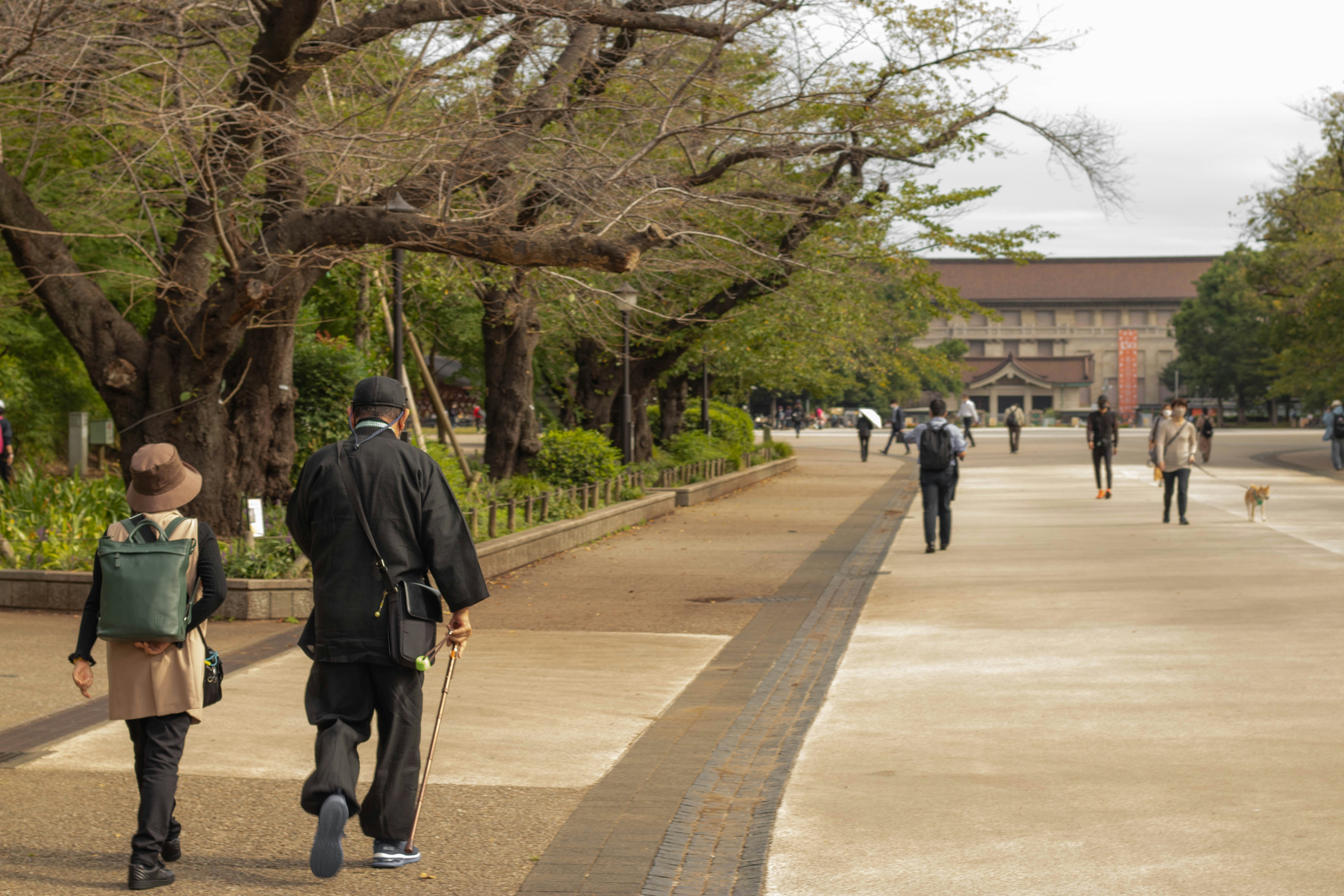 a man and woman walking down a sidewalk with a dog