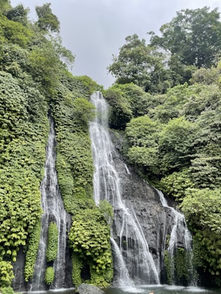 a waterfall surrounded by trees