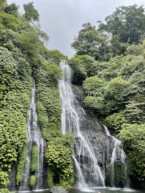 a waterfall surrounded by trees