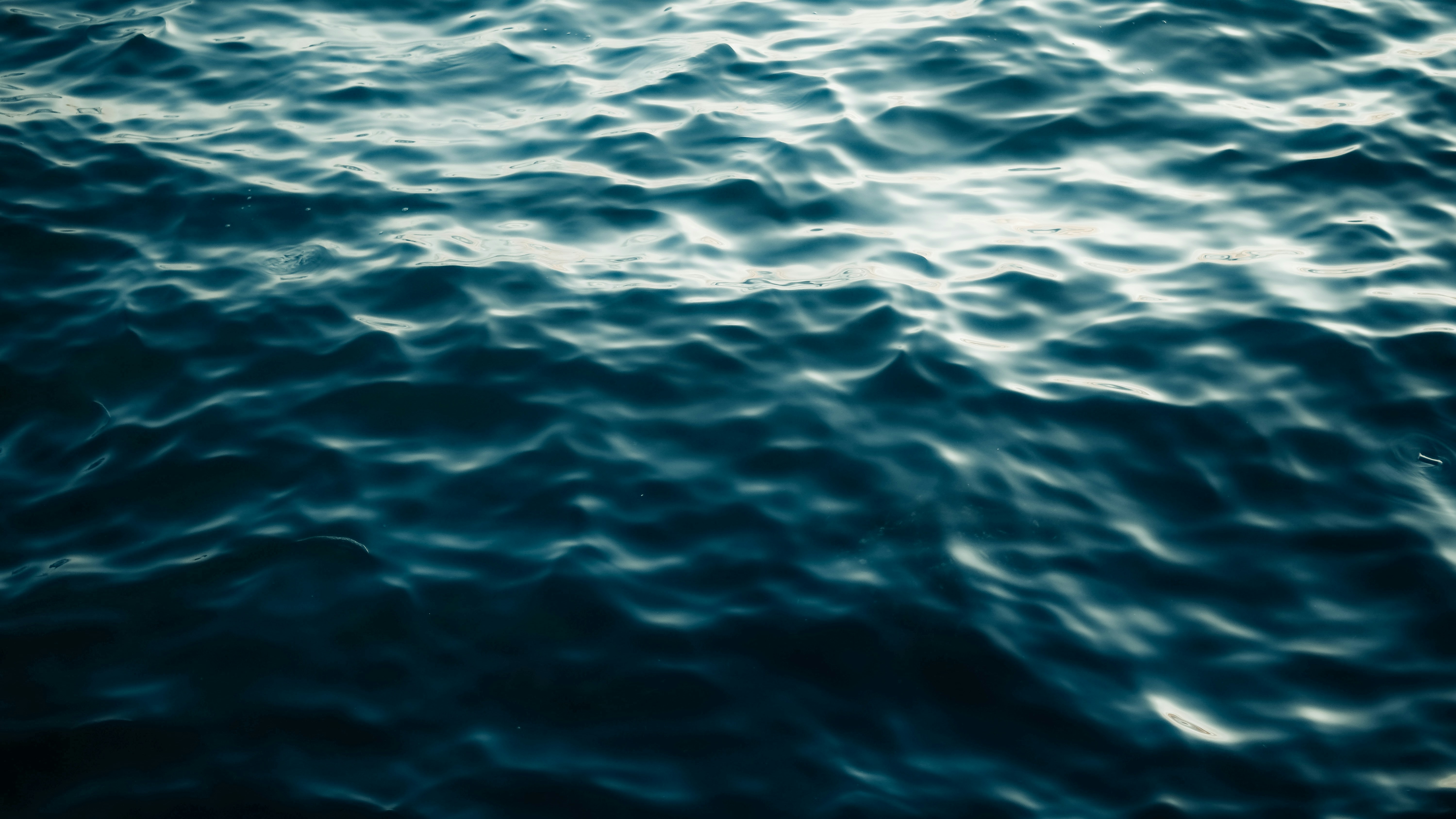 Photo by juliusdeterala