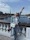 a person sitting on a railing with the arms up and a body of water in the background