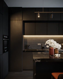 a kitchen with a black cabinet