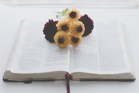A book with text open on a white surface, adorned with a small bouquet of yellow and dark red flowers placed on top. The book's spine faces the viewer, and a thin red ribbon bookmark hangs over its edge.