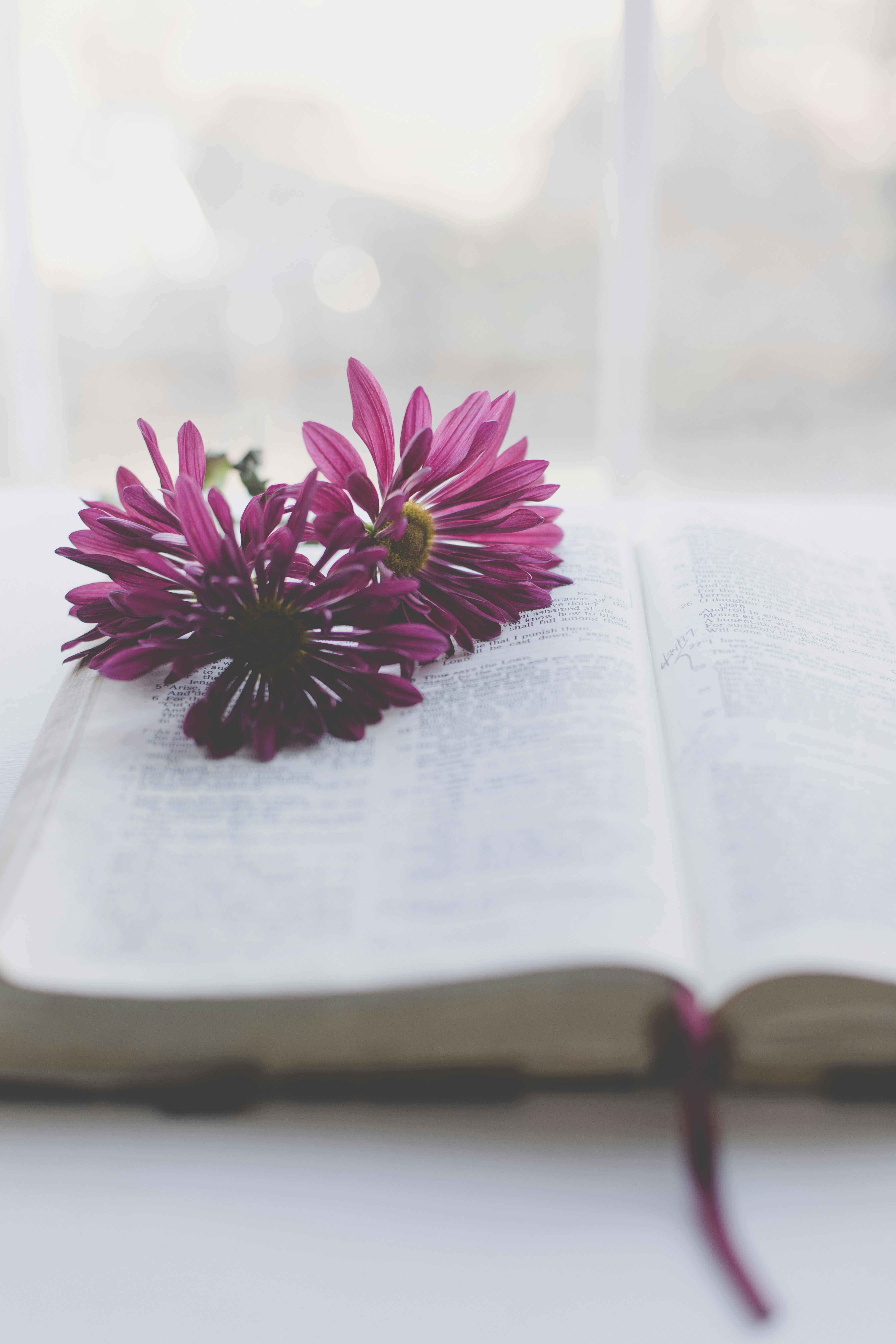 a book with flowers on it
