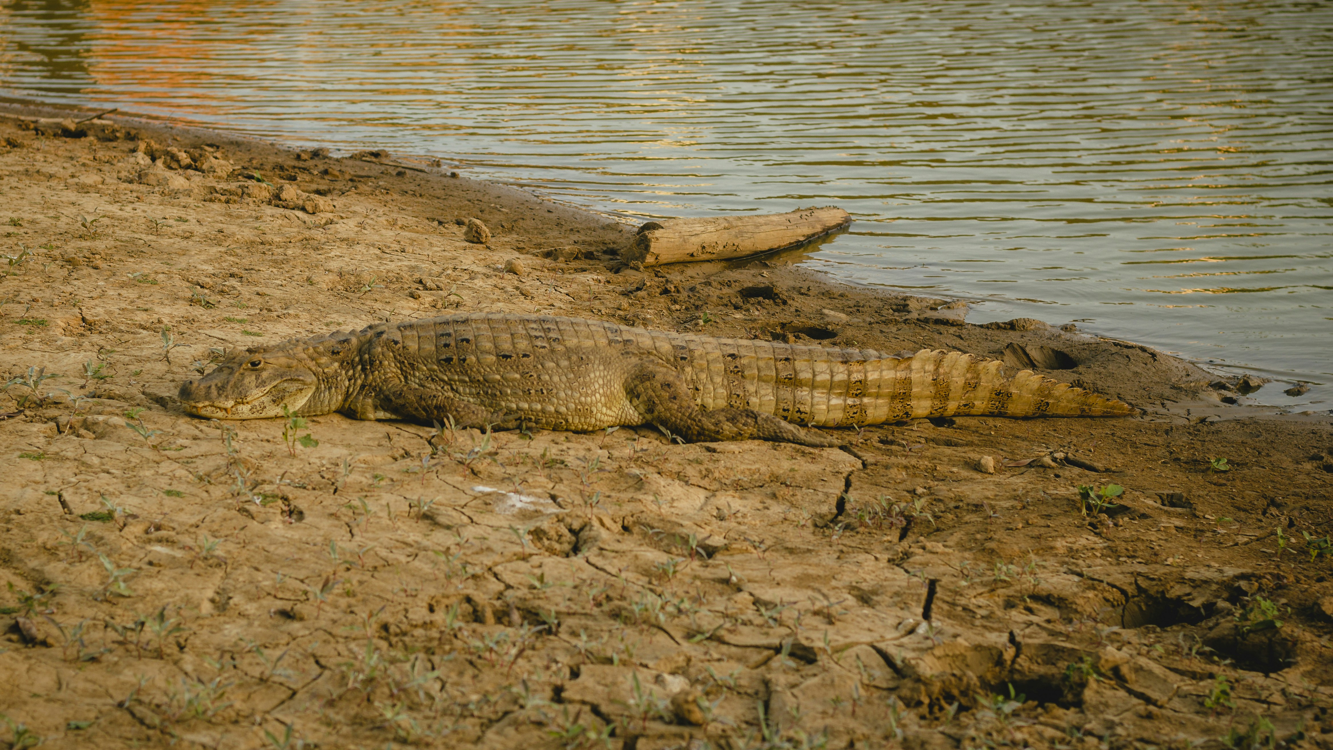 Photo by marlonalvesphoto