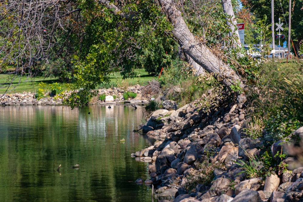 a river with rocks and trees