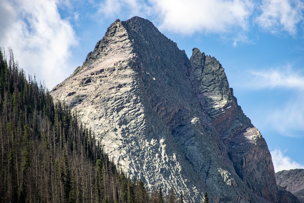 una montaña con árboles